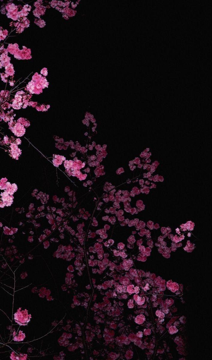 Enchanted Twilight: Blooms of Serenity